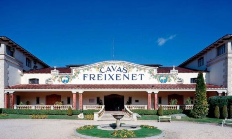 Querétaro: Cheese and Wine Tasting Tour - Participant Information