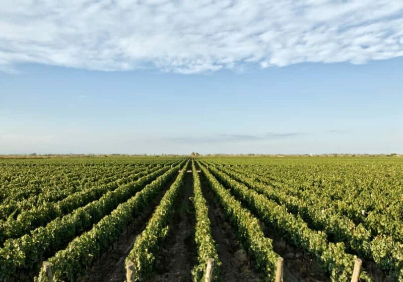 Queretaro: Cheese & Wine Tour (English) - FAQs