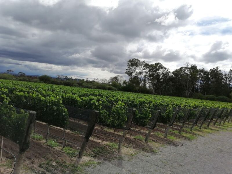 Querétaro: Haciendas, Vineyards, and Magical Towns Day Trip - Key Stops