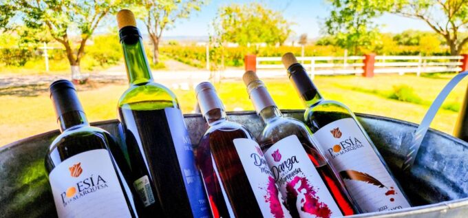 Querétaro: Haciendas, Vineyards, and Magical Towns Day Trip - What to Bring and Not Allowed