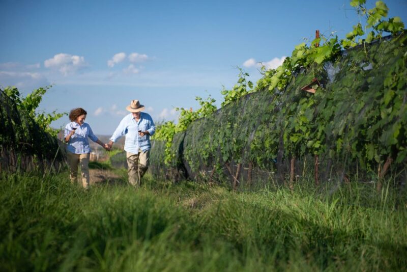 Queretaro: Rancho Santa Marina Farm Tour in Spanish - Experience Highlights