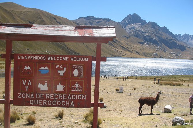 Querococha Lake and Chavin Ruins From Huaraz - Pickup and Timing