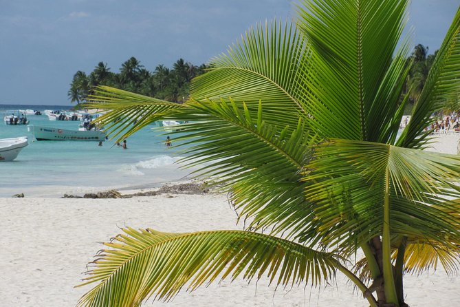Quetzal Catamaran Cruise Prestige to Saona Island - Included Amenities
