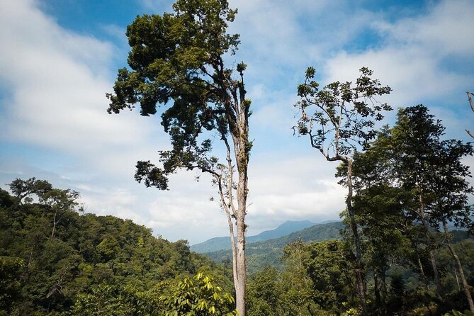 Quetzal Quest Birdwatching Adventure at Rey Tepepul Lookout - Key Points