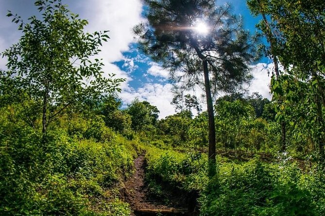 Quetzal Quest Birdwatching Adventure at Rey Tepepul Lookout - Recap