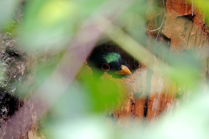 Quetzal Tour on Lake Atitlan - Hiking Experience and Trail Details