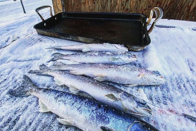 Quick and Easy Ice Fishing at Chena Lake - Pricing and Inclusions