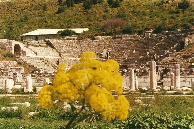 Quick-Ephesus Private Tour - Tour Details