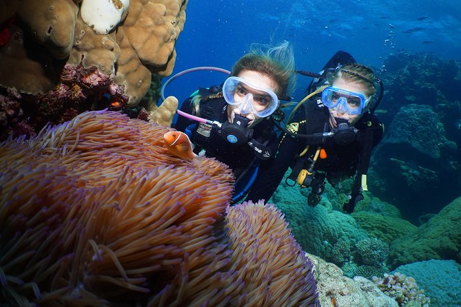 Quicksilver Dive 4 Day PADI Learn to Dive Course - Instructor and Group Size