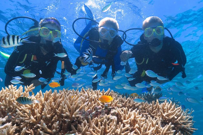 Quicksilver Great Barrier Reef Snorkel Cruise From Port Douglas - Optional Activities and Expenses