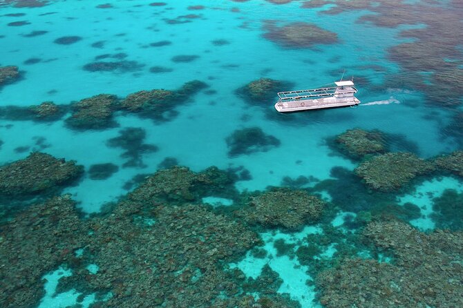 Quicksilver Great Barrier Reef Snorkel Cruise From Port Douglas - Diver Requirements and Restrictions