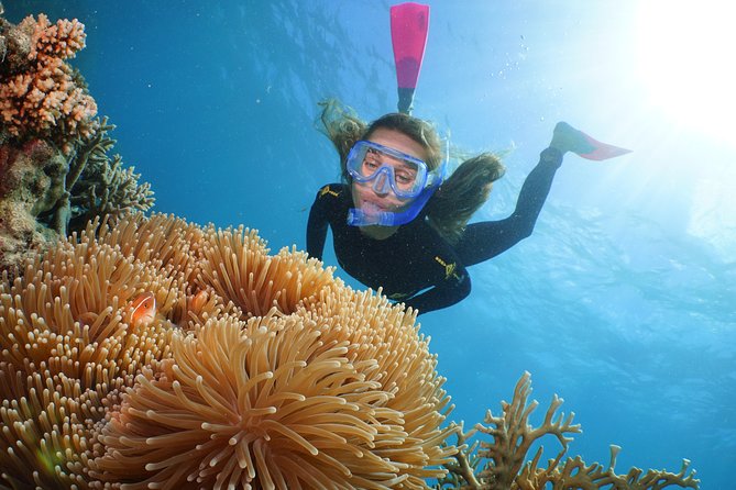 Quicksilver Great Barrier Reef Snorkel Cruise From Port Douglas - Accessibility and Group Size
