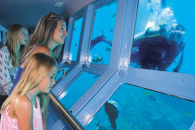 Quicksilver Great Barrier Reef Snorkel Cruise From Port Douglas - Reviews and Ratings