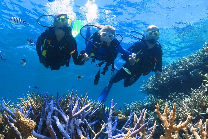 Quicksilver Outer Great Barrier Reef Snorkel Cruise From Palm Cove - Meeting and Pickup