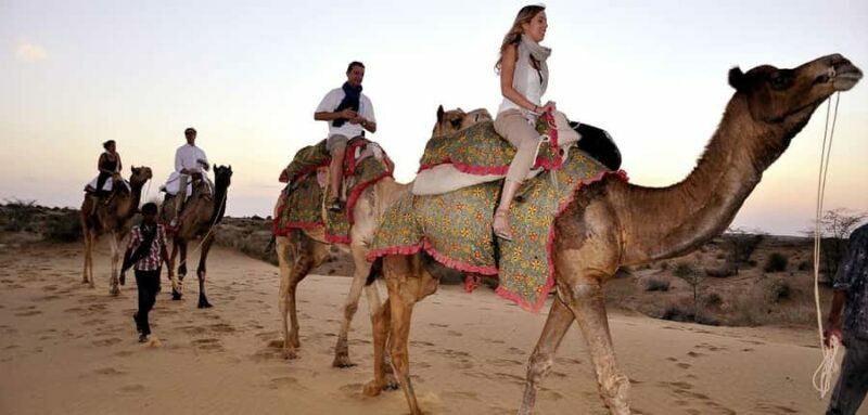 Quiet & Peaceful Desert Experience At Luxury Desert Camp - Key Points
