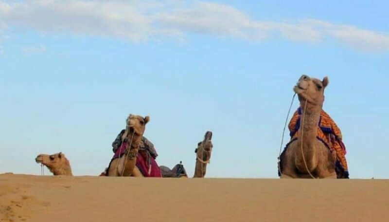 Quiet & Peaceful Desert Experience At Luxury Desert Camp - FAQs