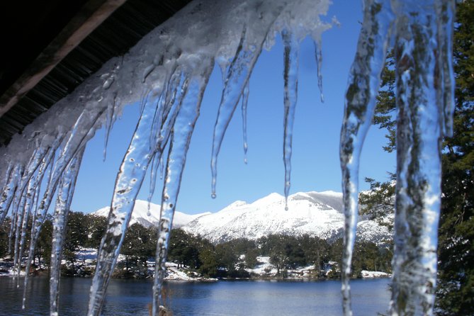 Quila Quina and Mapuche Community From San Martin De Los Andes - Exploring Quila Quina