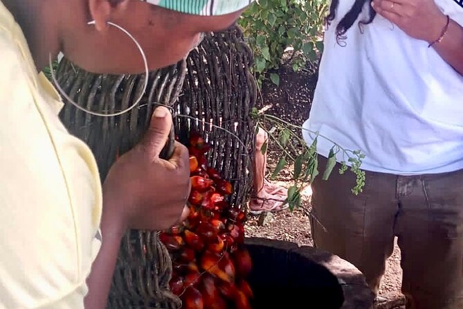 Quilombo Heritage Private Tour - Itinerary Highlights