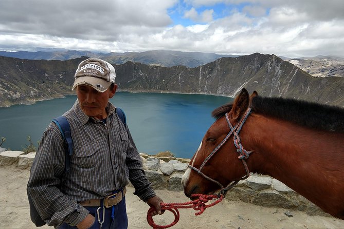 Quilotoa Crater Lake Private Day Tour: Trekking, Market, Art and Llamas - Fascinating Llama Encounters