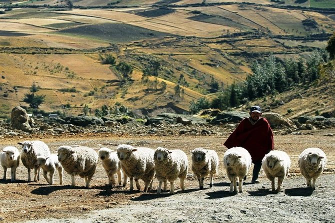 Quilotoa Loop 1 Day Tour From Quito - Key Points