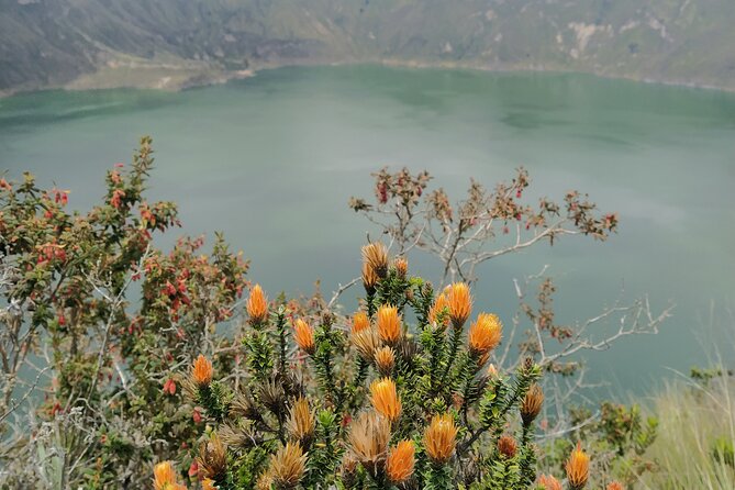 Quilotoa, Tigua and Zumbahua Full Day - Transportation and Pickup Details