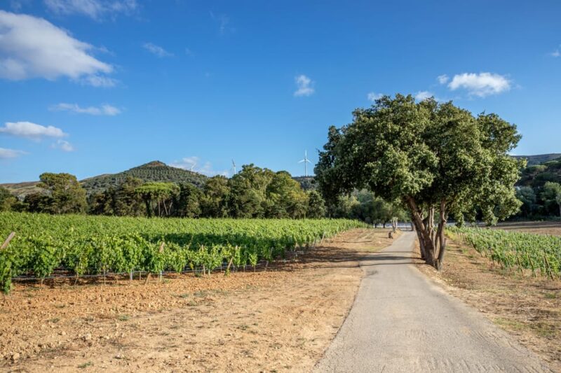 Quinta Das Murgas: Wine Tasting Tour - Key Points