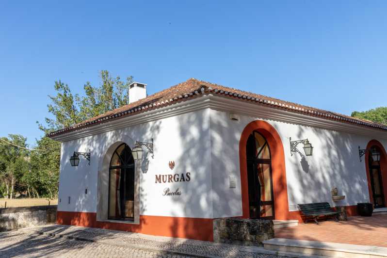 Quinta Das Murgas: Wine Tasting Tour - Wine Tasting Experience