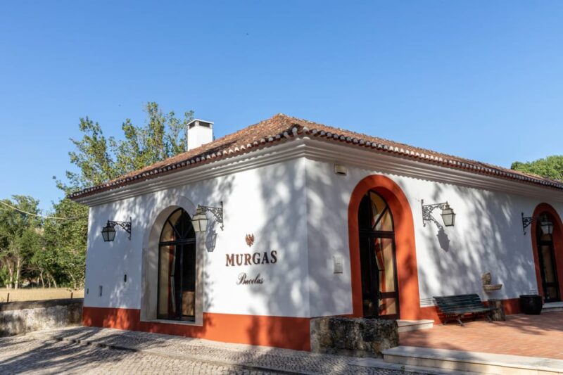 Quinta Das Murgas: Wine Tasting Tour - Assorted Regional Tapas