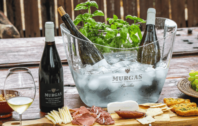 Quinta Das Murgas: Wine Tasting Tour - Accessibility and Language
