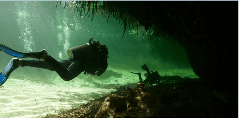 Quintana Roo: Cenote Dive - Inclusions