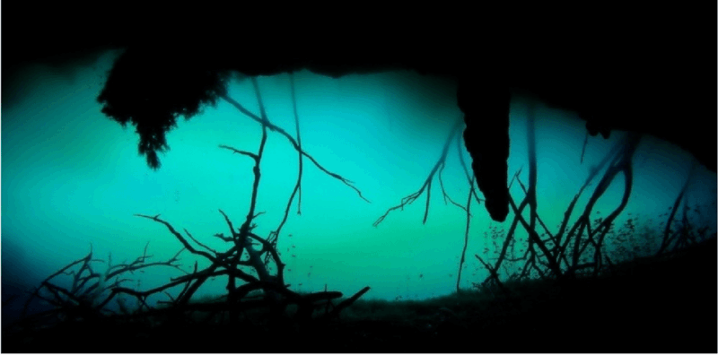 Quintana Roo: Cenote Dive - Cancellation Policy