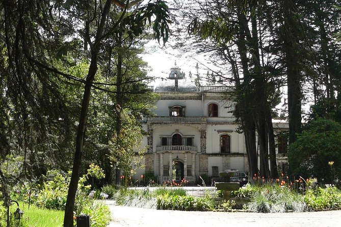 Quito to Cotopaxi in Transfer in Fantasy Bus - Vehicle and Accessibility