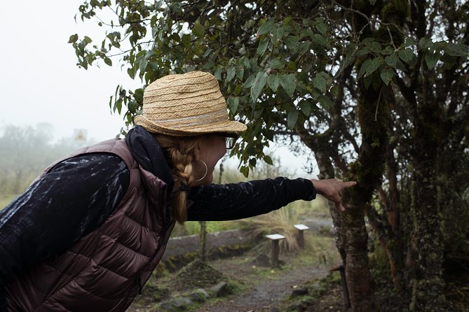 Quito to Cotopaxi in Transfer in Fantasy Bus - Key Highlights