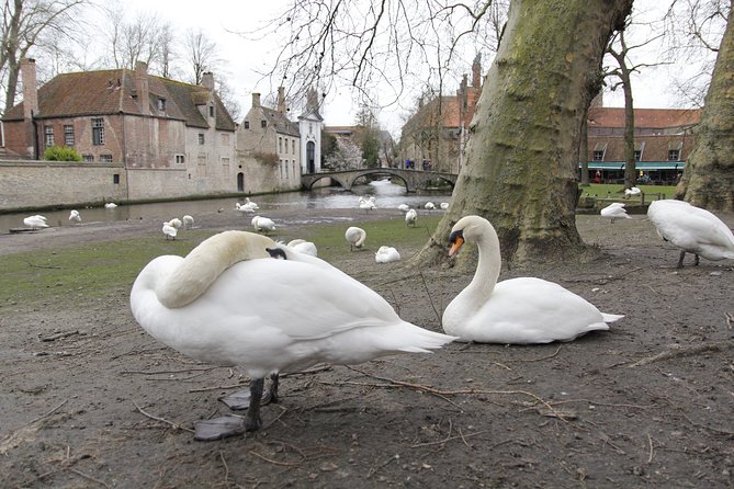 QuizQuest: A Trivia Tour of Bruges (Private Tour) - Exploring Historic Bruges