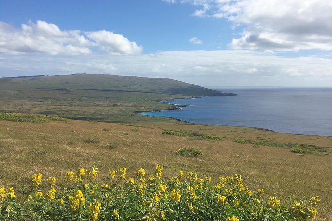 R3-THE RAPA NUI PENINSULA (Non-Cruise Visitors) - Recommended Fitness Level