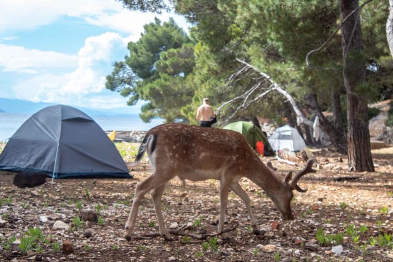 Rab & Adriatic Islands: 6 Day Sea Kayak Camping Tour - Preparation and What to Bring