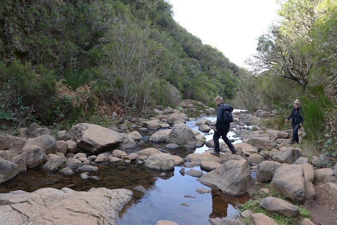 Rabaçal Hiking Tour - Positive Reviews