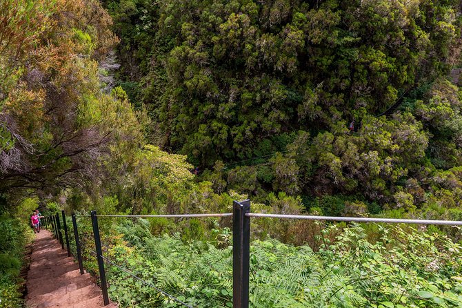 Rabaçal - Levada of the 25 Springs - Highlights of the Experience