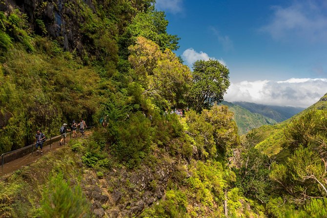 Rabaçal - Levada of the 25 Springs - Knowledgeable Tour Guides