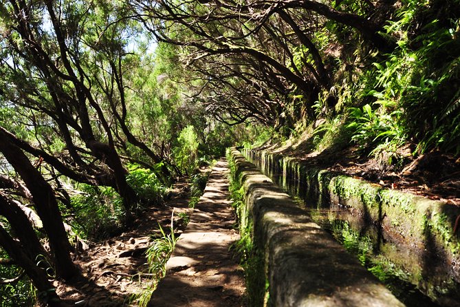 Rabaçal - Levada of the 25 Springs - Accessibility and Fitness Requirements
