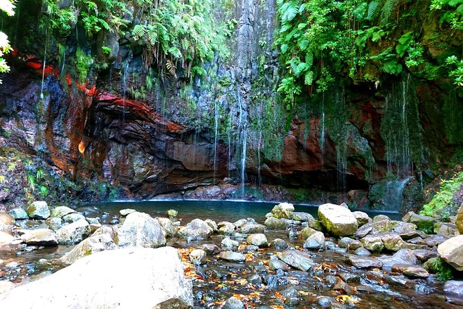 Rabaçal - Levada of the 25 Springs - Cancellation and Booking Policy