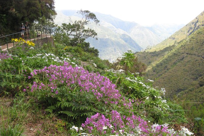 Rabaçal / Risk / 25 Fountains Full-Day Walk - Hiking Experience