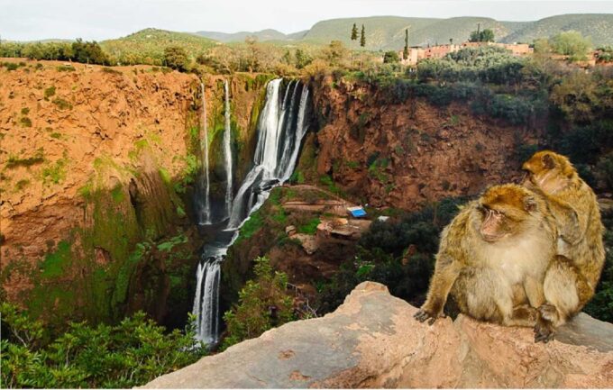 Rabat Day Trip From Fez (Group Tour) - Guide Language Options