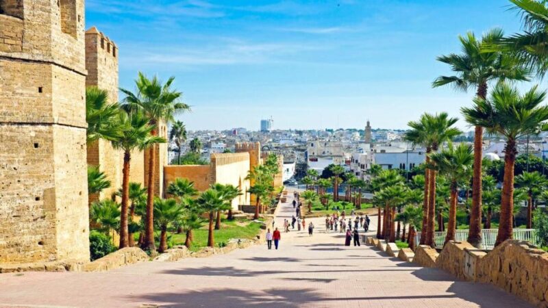 Rabat: Private Day Trip From Fez To Rabat - Transportation and Services