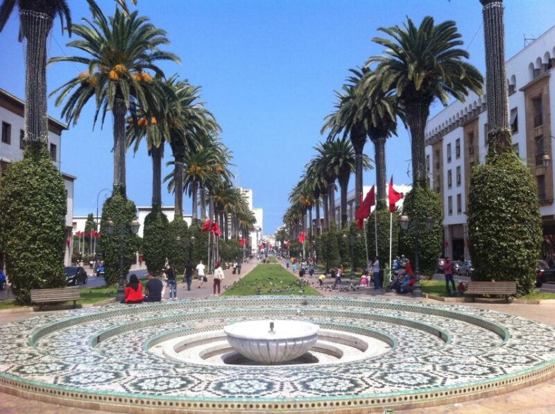 Rabat: Private Half-Day City Tour - Customer Reviews and Feedback
