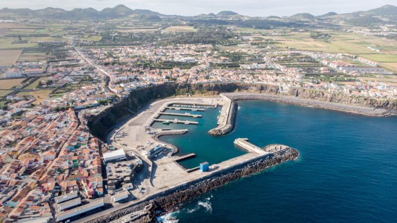 Rabo De Peixe: Sperm Whale Sanctuary Expedition - Experience and Itinerary