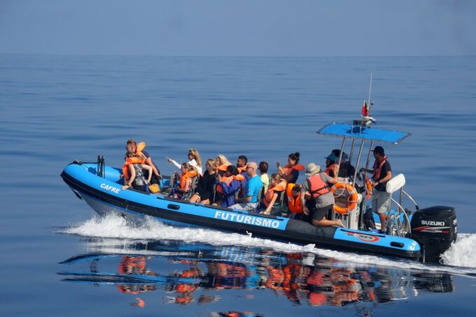 Rabo De Peixe: Sperm Whale Sanctuary Expedition - Preparing for the Adventure