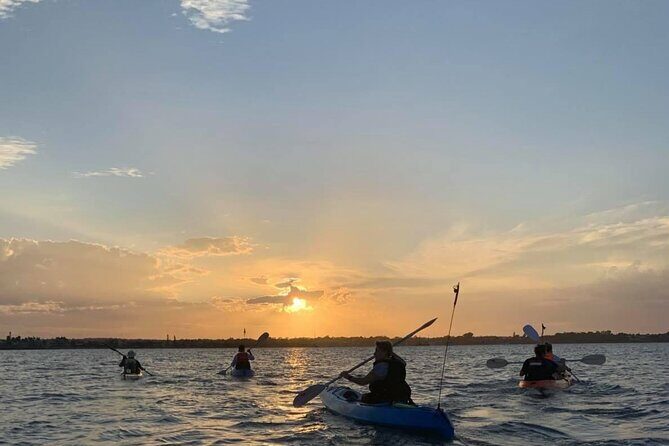 Raby Bay Wildlife Kayak Tour - A Deeper Look at the Raby Bay Wildlife Kayak Tour