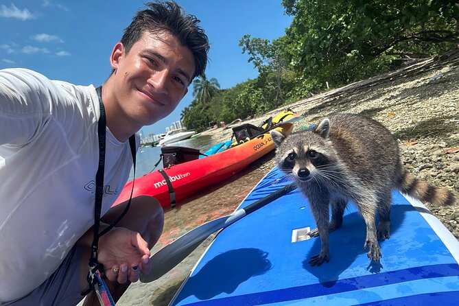 Raccoon Island Exploration on Sup/Kayak - Experience Highlights