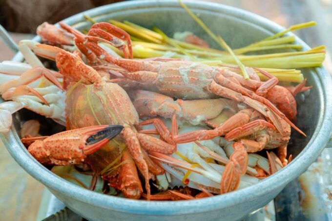 Rach Vem: Nature Immersive Exp, a Day as a Local Fisherman - Fishing and Snorkeling Adventure